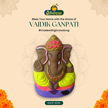 Yellow Vaidik Gir Cow Dung Ganpati