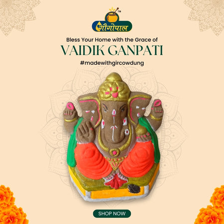 Eco Ganpati Murti – Made from Pure Gir Cow Dung